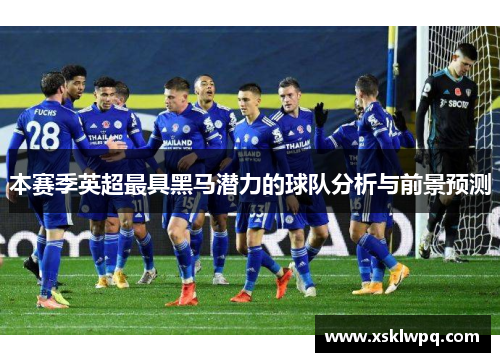 本赛季英超最具黑马潜力的球队分析与前景预测