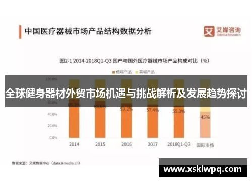 全球健身器材外贸市场机遇与挑战解析及发展趋势探讨
