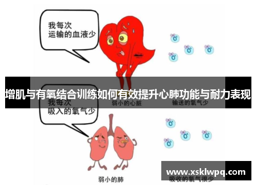 增肌与有氧结合训练如何有效提升心肺功能与耐力表现