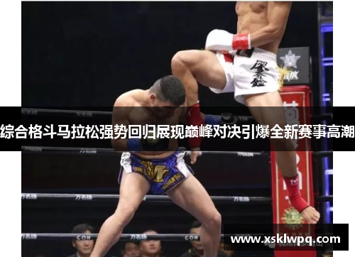 综合格斗马拉松强势回归展现巅峰对决引爆全新赛事高潮