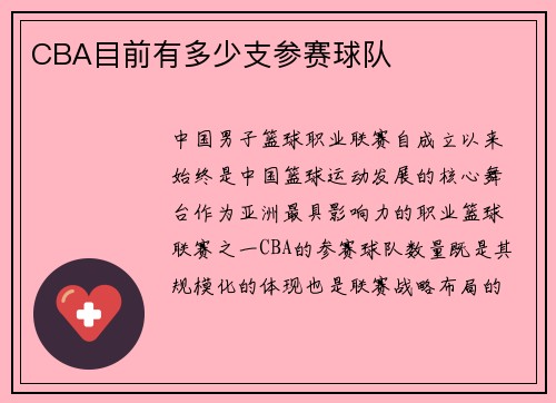 CBA目前有多少支参赛球队