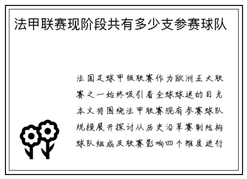 法甲联赛现阶段共有多少支参赛球队